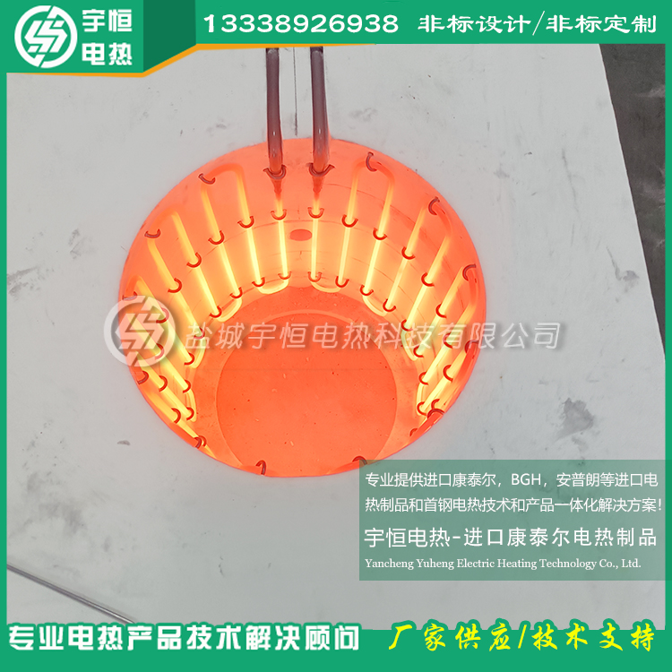 新能源半导体行业用进口硅钼棒摩根陶瓷纤维模块加热组件